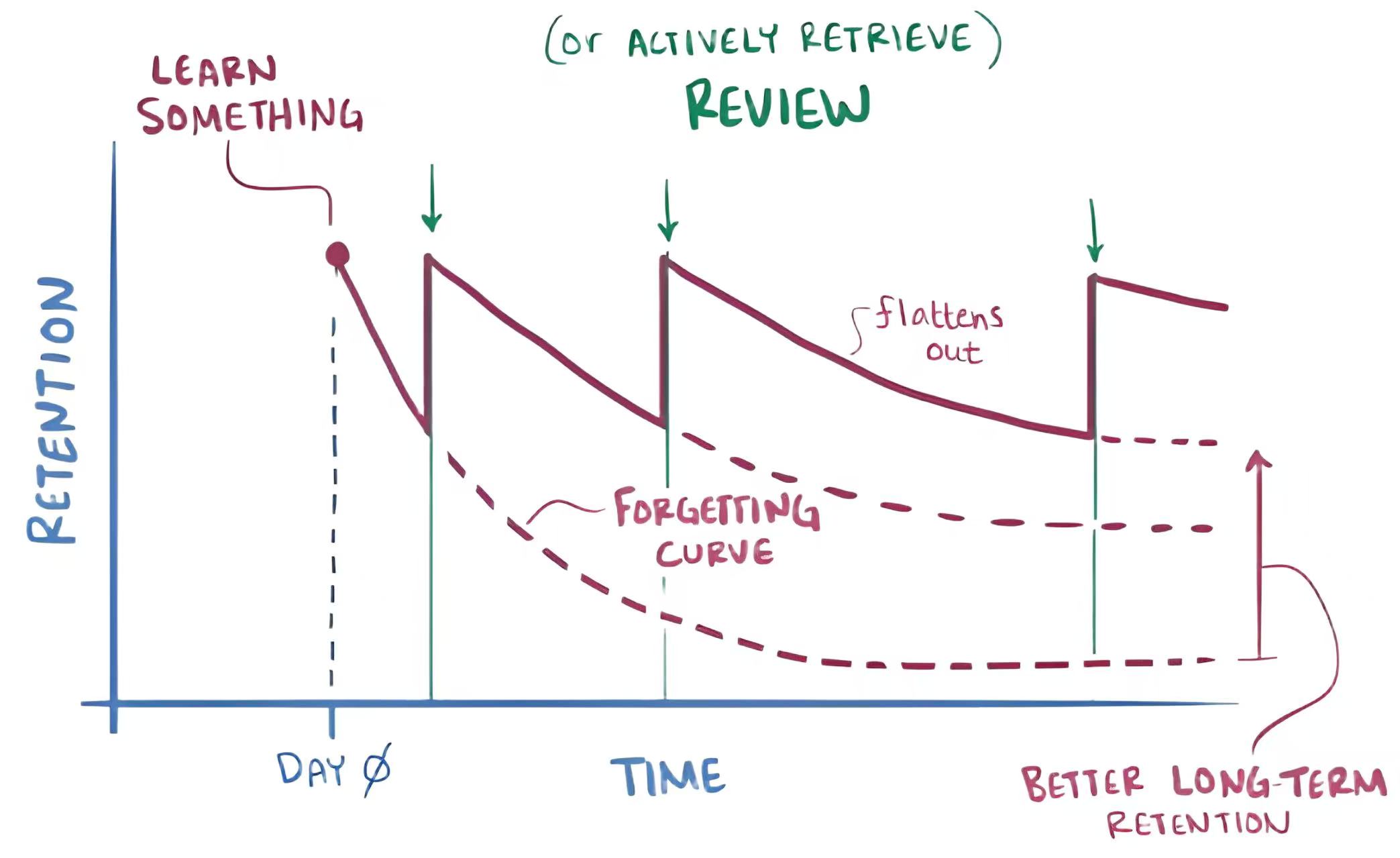 艾宾浩斯遗忘曲线 - 间隔复习算法示意图